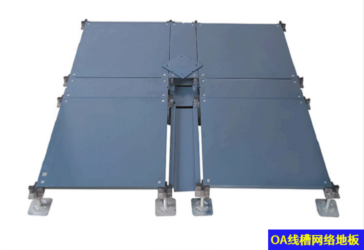 OA線(xiàn)槽網(wǎng)絡(luò)地板展示